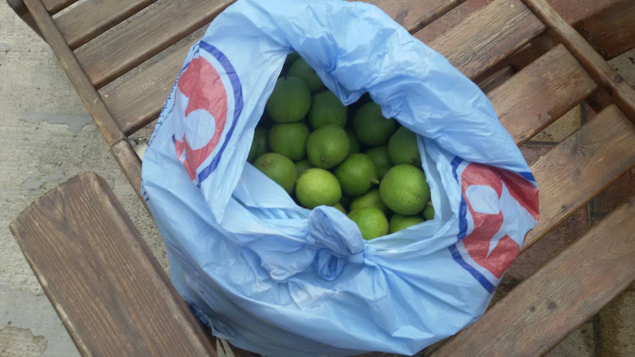 Nocino 2016