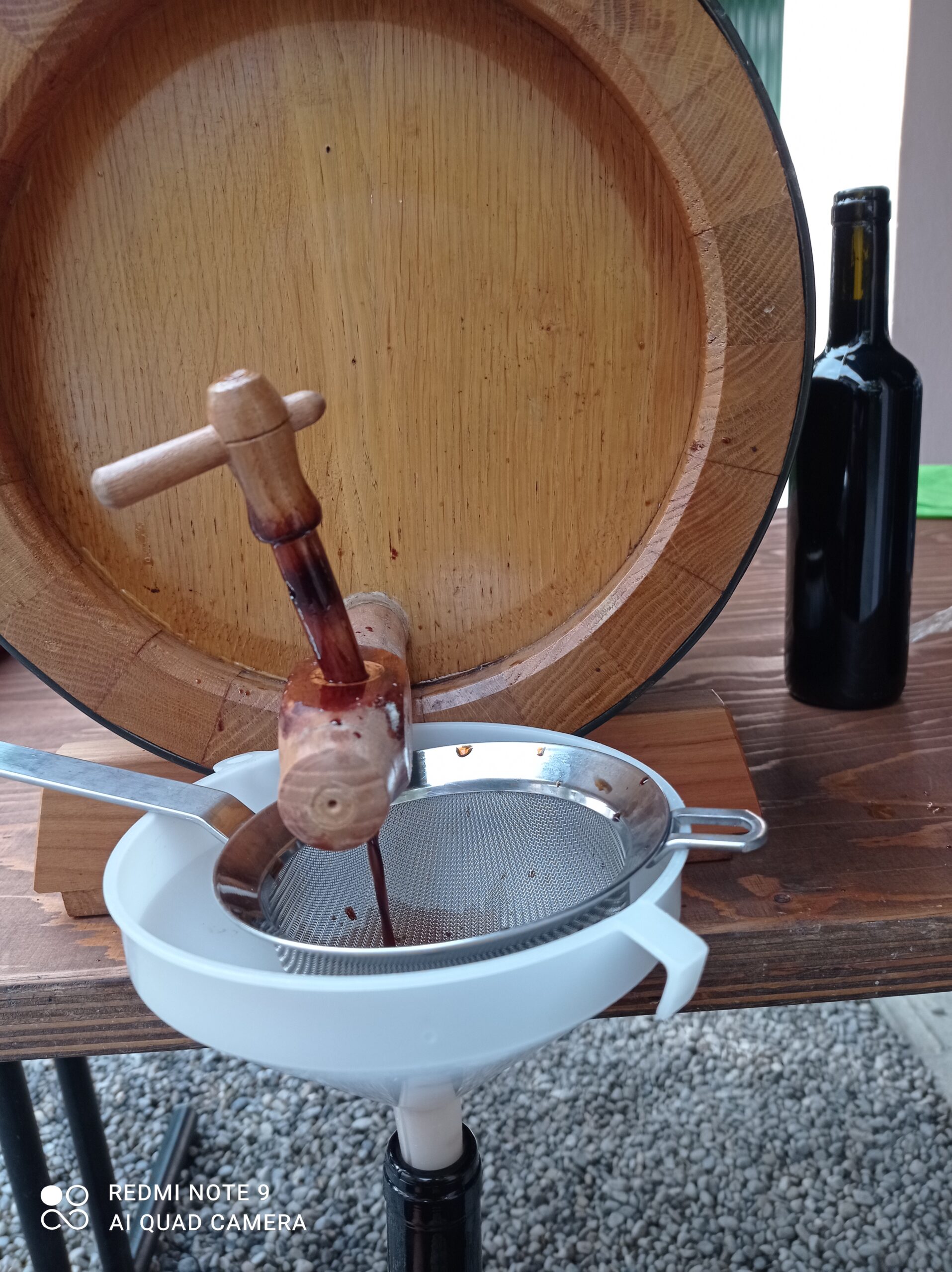 nocino elite’